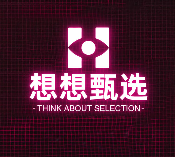 想想甄选